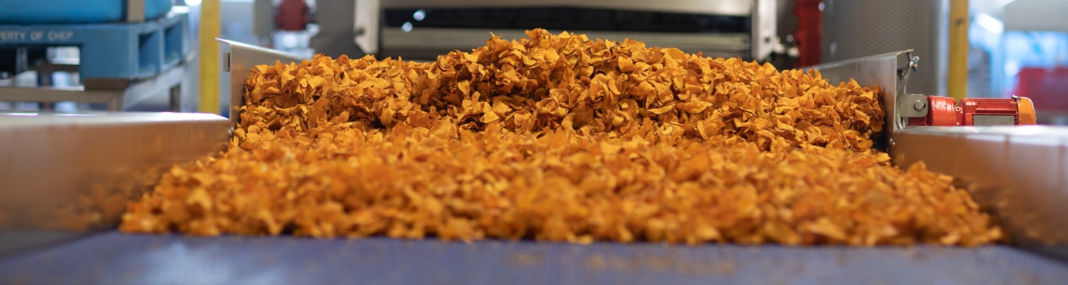 Yellow Chips beginnt mit Reststromverarbeitung im Sammelbehalter