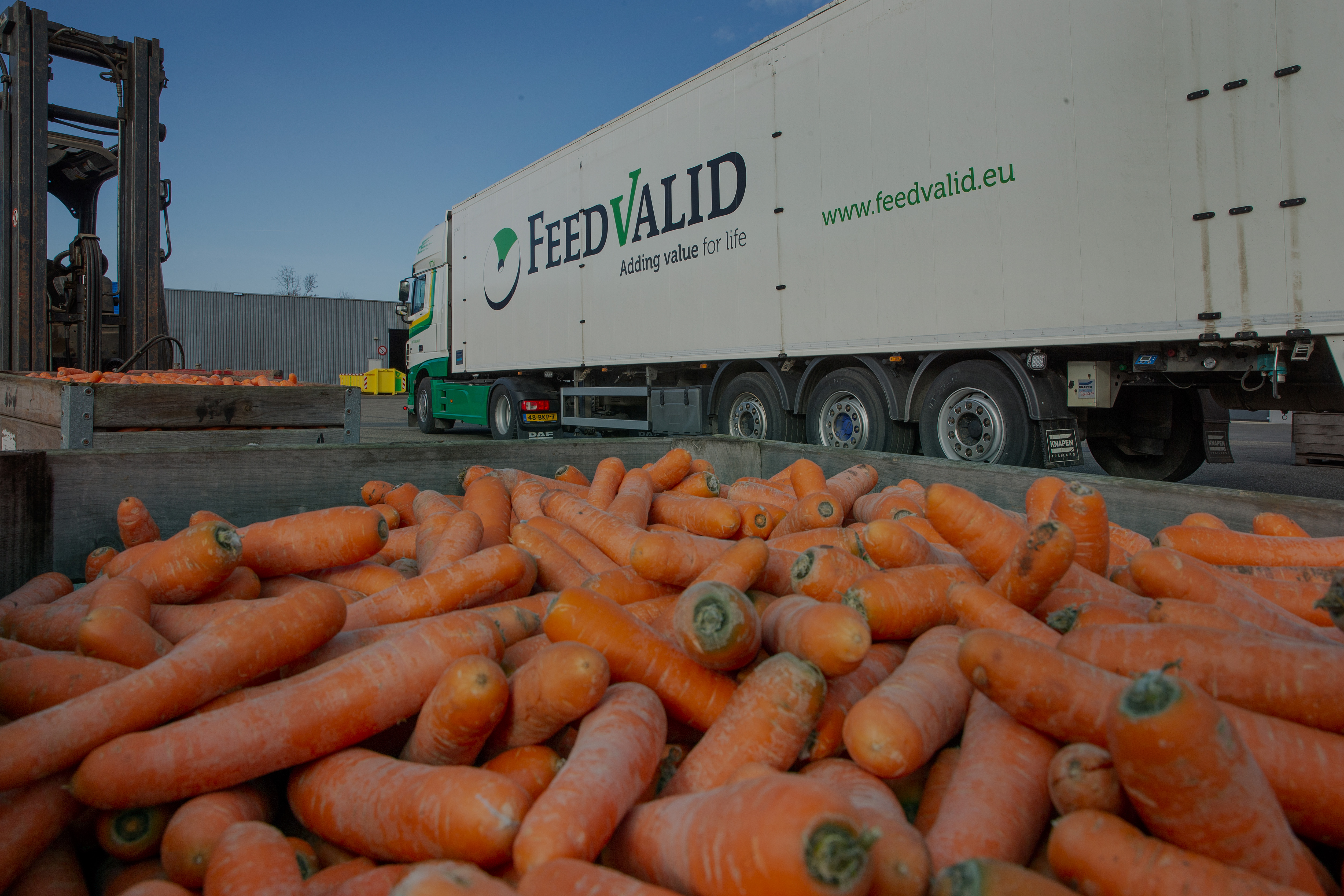 Orange is the new green – FeedValid’s Alexander Romme and Johan Leenders from Oranjehoen on their special collaboration: “Waste stream valorisation makes the oranjehoen hen the ultimate sustainable chicken.”